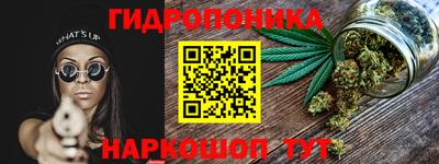 шишки Тулун