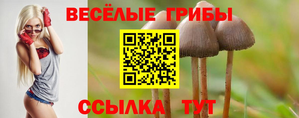 Галлюциногенные грибы GOLDEN TEACHER Полевской